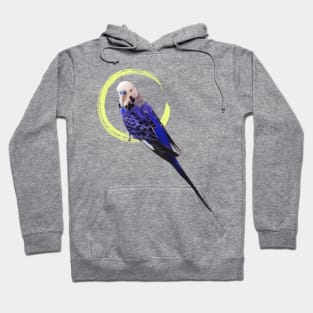 Blue budgie Hoodie